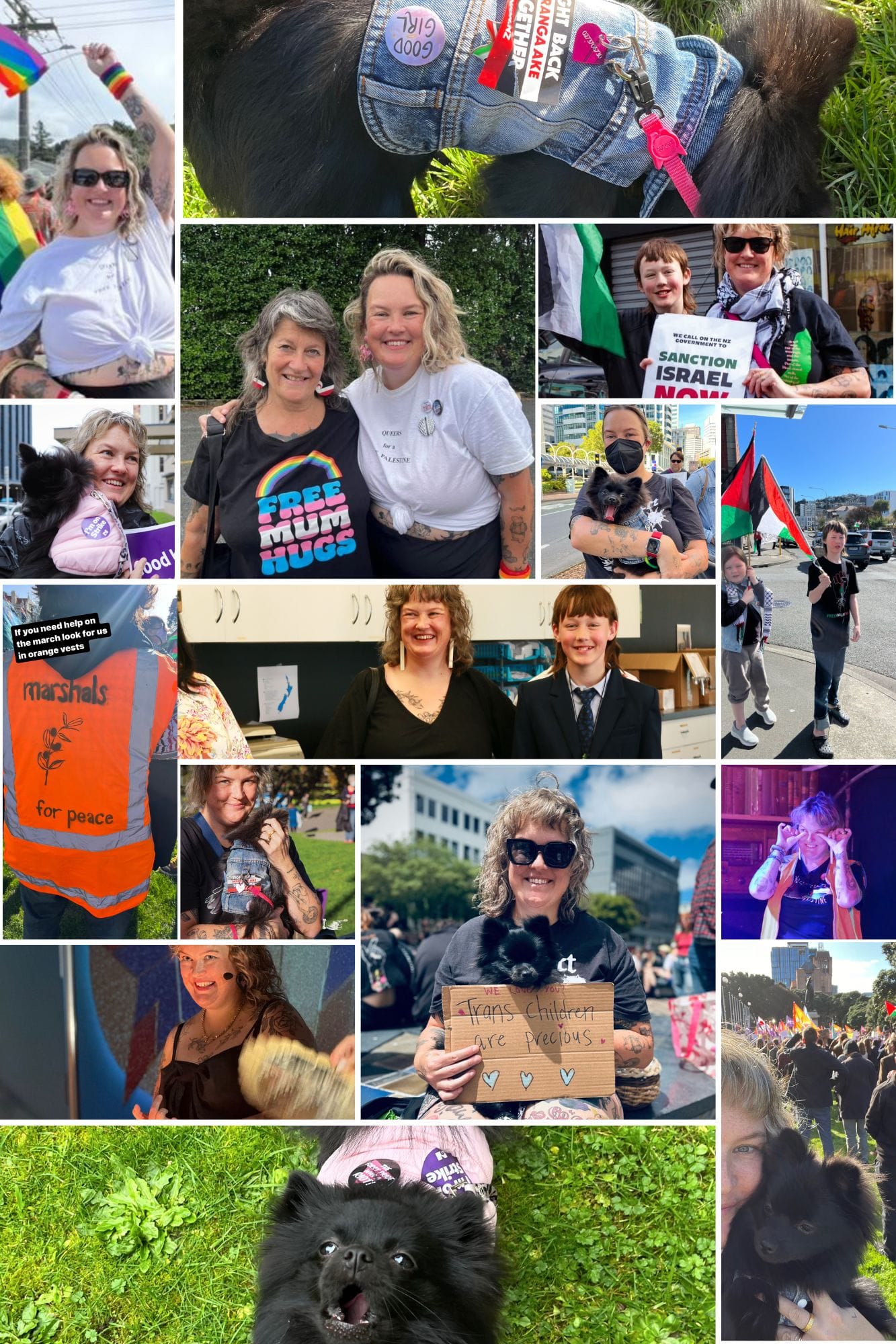 A photo montage of a whole bunch of stuff Emily Writes, family and friends have done this year. Also there is Pippi. 