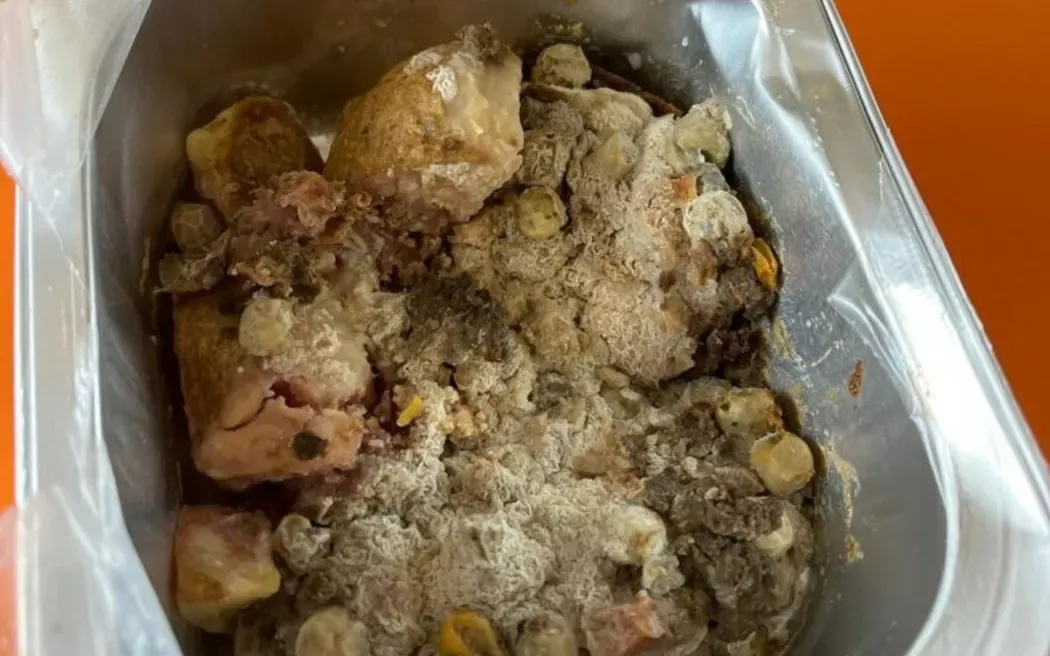 A photo of a mouldy school lunch, supplied by a parent to RNZ
