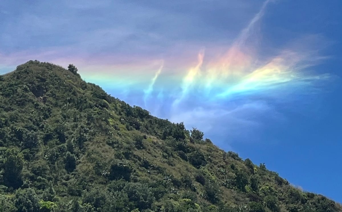 Thank God I'm not Gay! Umm actually...