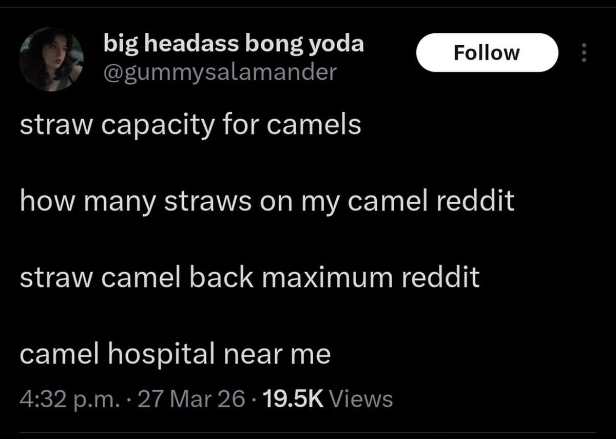 FNC: Easter long weekend recommendations + chats