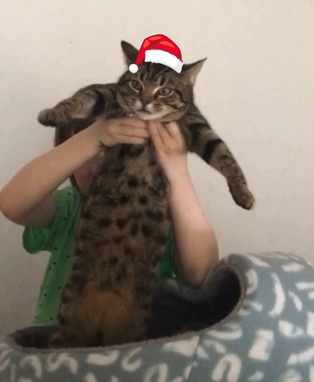 The best news of 2021