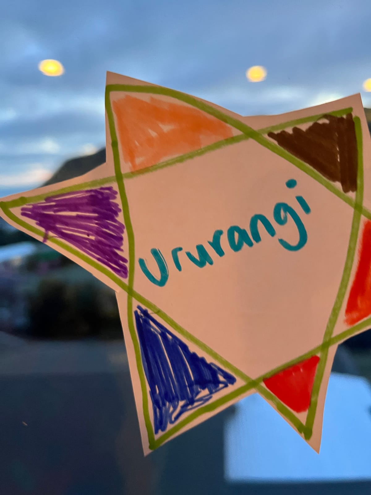 FNC - Puanga, rest and reading 