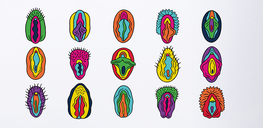 This is where the clitoris is