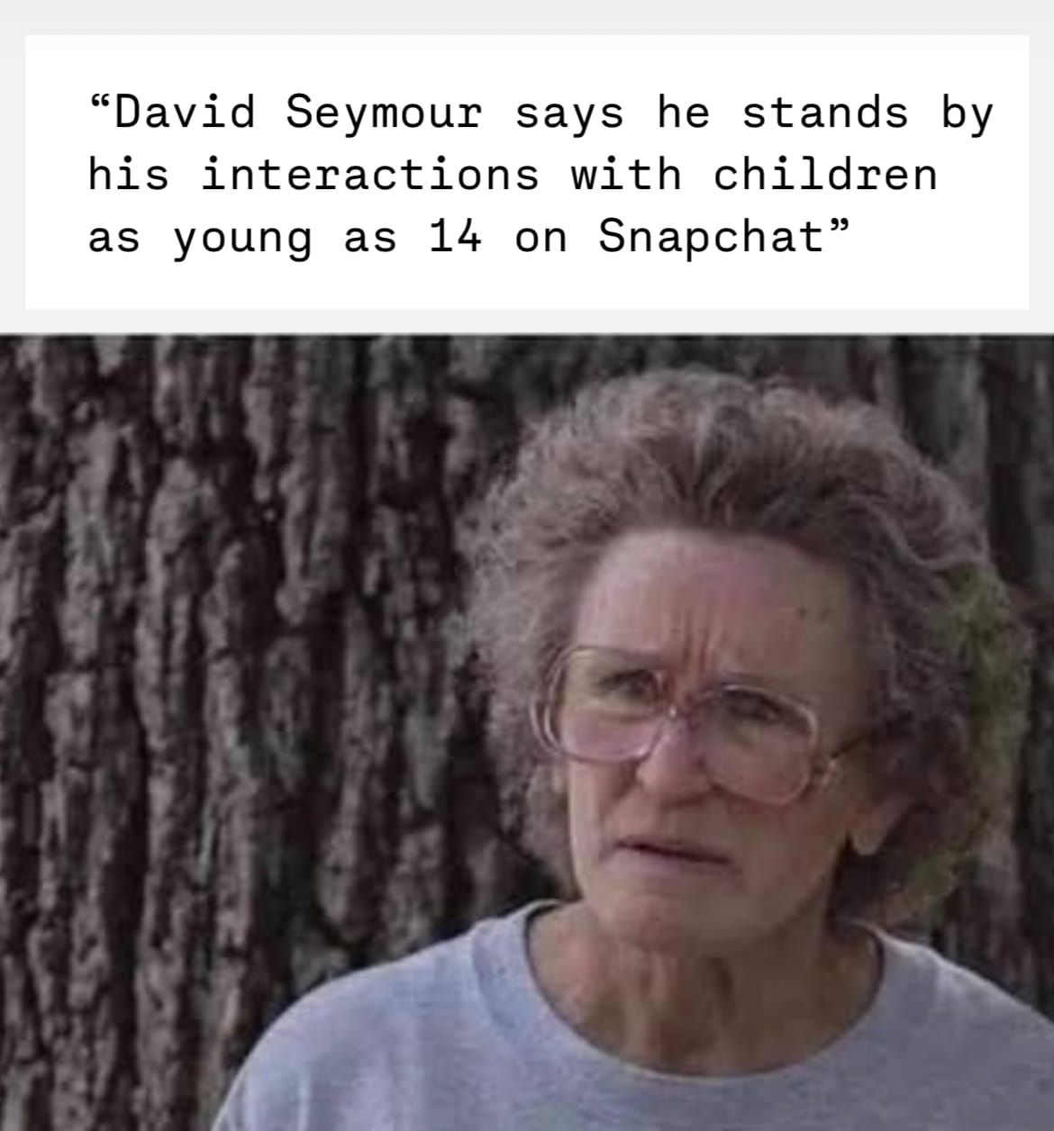 The David Seymour excuse generator