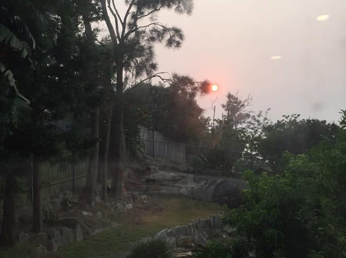 My heart is where my home is