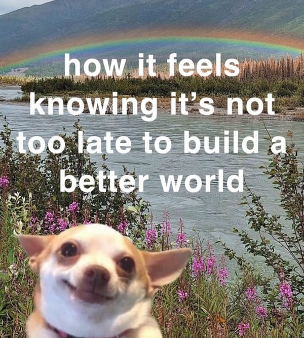 FNC - The Christmas countdown