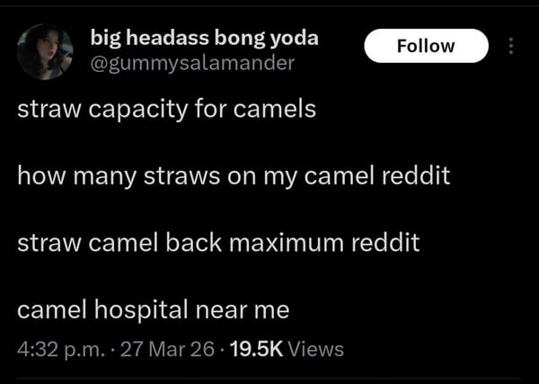 FNC: Easter long weekend recommendations + chats