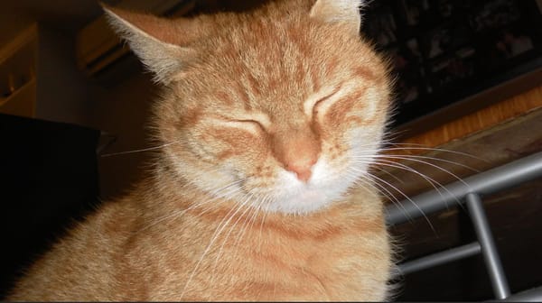 Goodbye and thank you