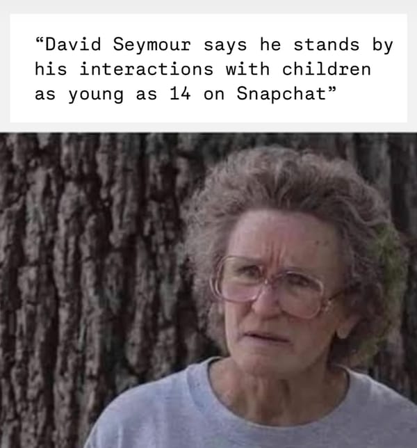 The David Seymour excuse generator
