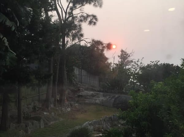 My heart is where my home is